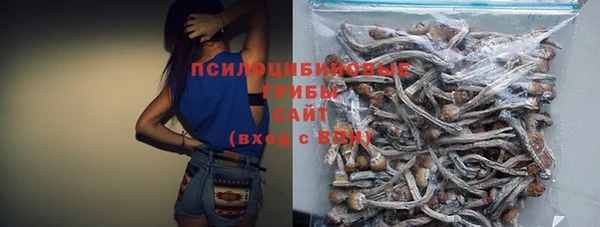 гидропоника Куйбышев