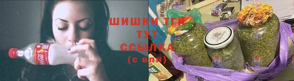 гидра Кулебаки