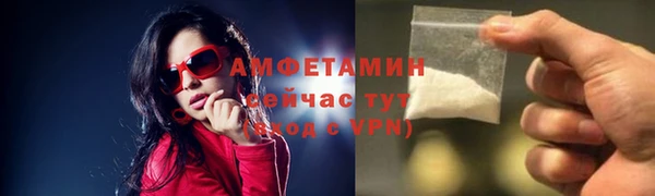 гидра Кулебаки