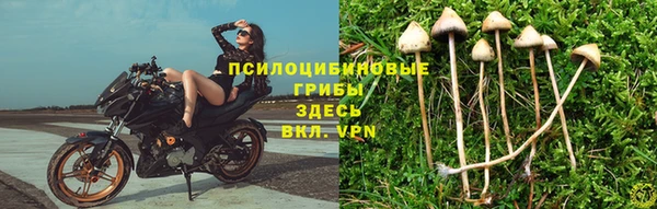 мяу мяу мука Кукмор