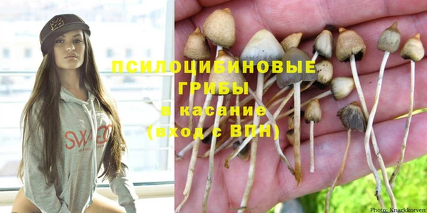 гидропоника Куйбышев