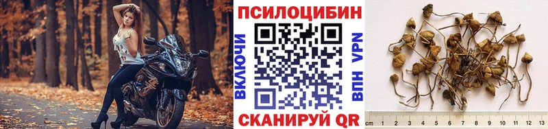 Галлюциногенные грибы ЛСД  что такое наркотик  Брюховецкая 